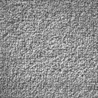 Carpet sample